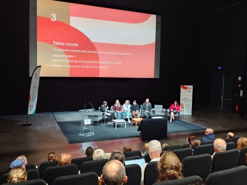 Le Cri du Silence présenté au Conseil Local de Santé Mentale Le Cri du Silence présenté au Conseil Local de Santé Mentale