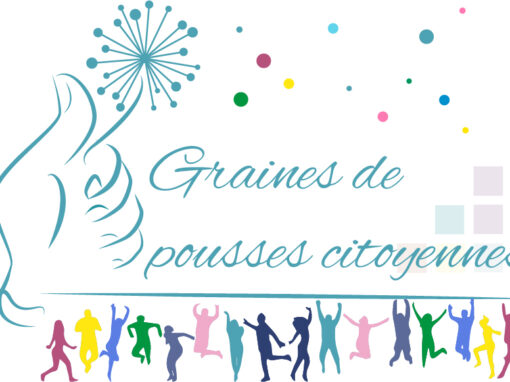 Graines de pousses