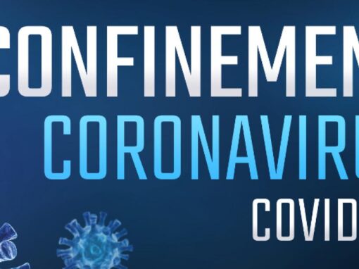 ACTIONS CONFINEMENT NOVEMBRE, DÉCEMBRE 2020